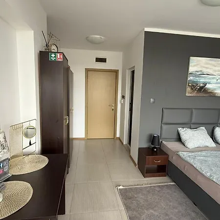 In Big Kamelia Complex Sunny