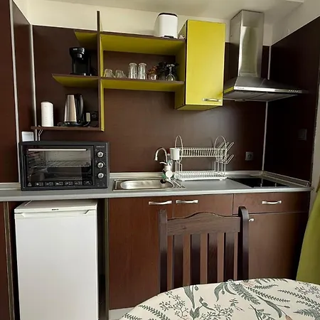 In Big Kamelia Complex Sunny