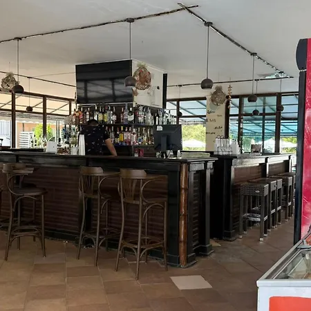 In Big Kamelia Complex Sunny