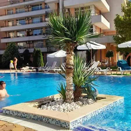 In Big Kamelia Complex Sunny