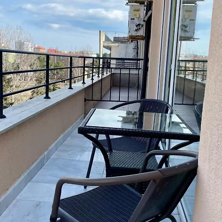 In Big Kamelia Complex Sunny